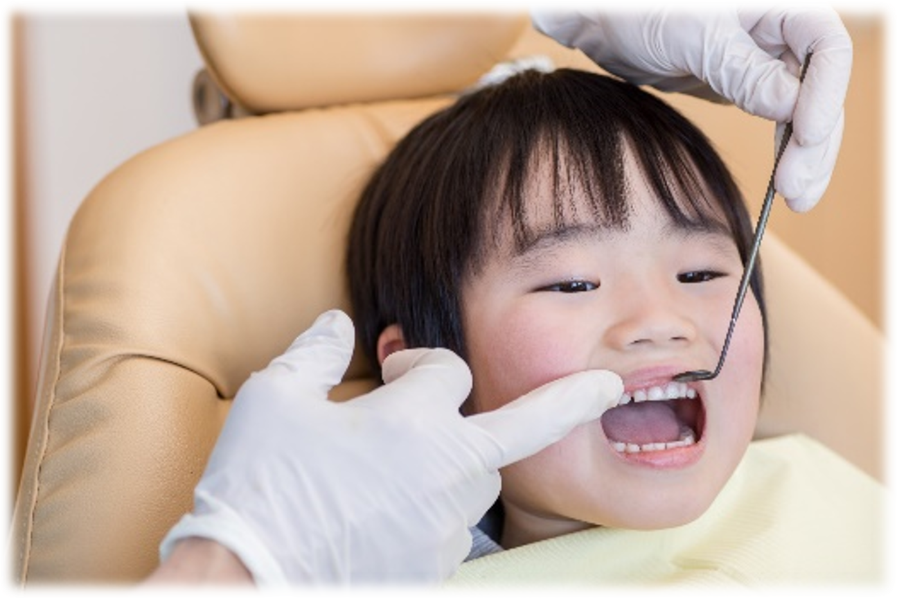 歯周病/虫歯治療＆予防
